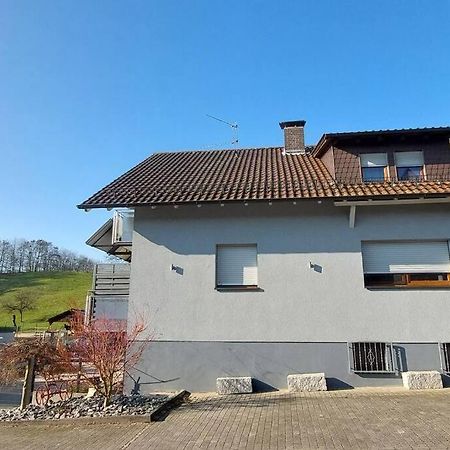 Grosse Tolle 4 Zimmer Ferienwohnung Im Herzen Des Odenwaldes Mörlenbach Esterno foto