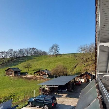 Grosse Tolle 4 Zimmer Ferienwohnung Im Herzen Des Odenwaldes Mörlenbach Esterno foto