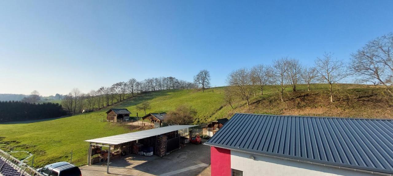 Grosse Tolle 4 Zimmer Ferienwohnung Im Herzen Des Odenwaldes Mörlenbach Esterno foto