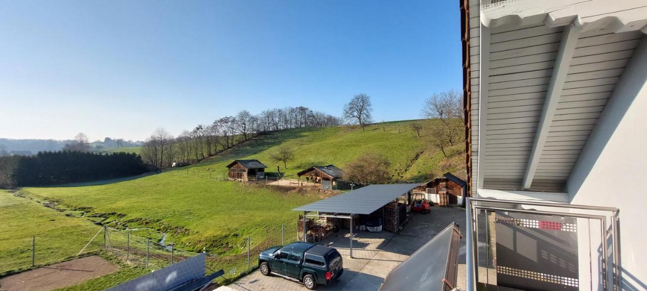 Grosse Tolle 4 Zimmer Ferienwohnung Im Herzen Des Odenwaldes Mörlenbach Esterno foto