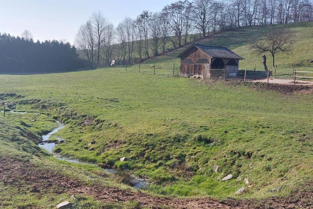 Grosse Tolle 4 Zimmer Ferienwohnung Im Herzen Des Odenwaldes Mörlenbach Esterno foto