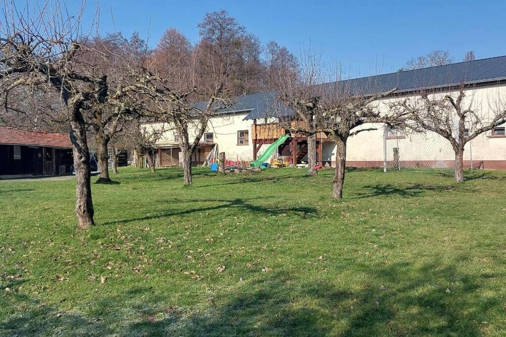 Grosse Tolle 4 Zimmer Ferienwohnung Im Herzen Des Odenwaldes Mörlenbach Esterno foto