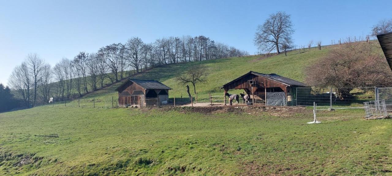 Grosse Tolle 4 Zimmer Ferienwohnung Im Herzen Des Odenwaldes Mörlenbach Esterno foto